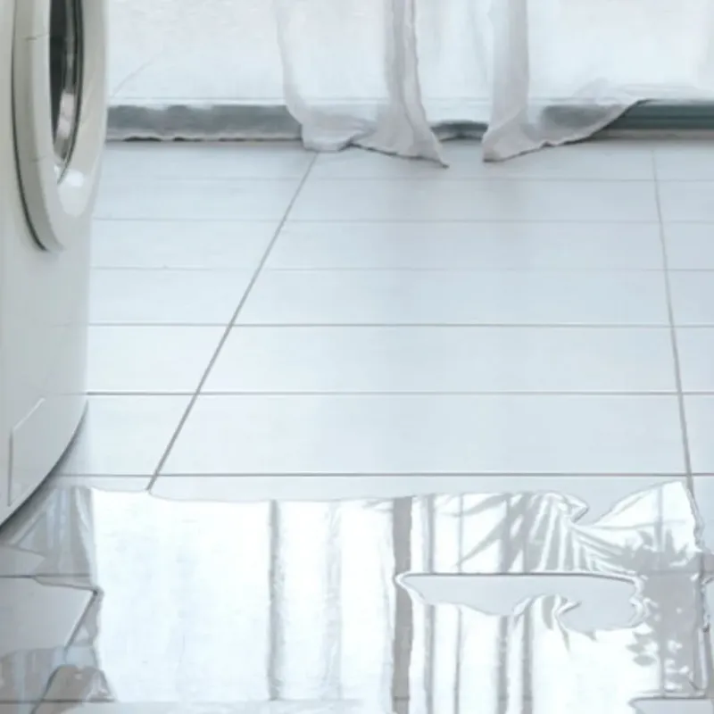 Appliance Leak Cleanup in Macclenny, FL